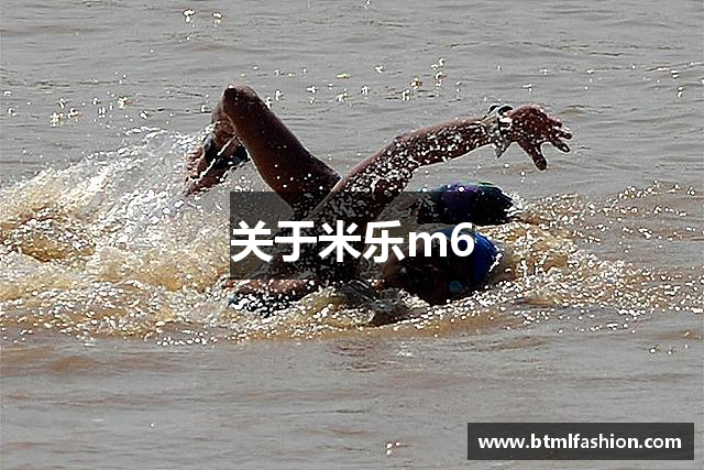 关于米乐m6